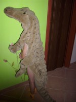 /album/fotogaleria/img-0751-2-jpg/